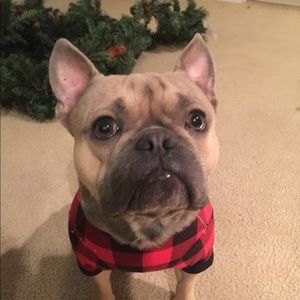 Meet your Posher, Trisal